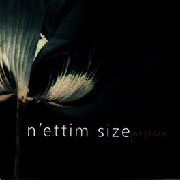 Album cover of N'ettim Size