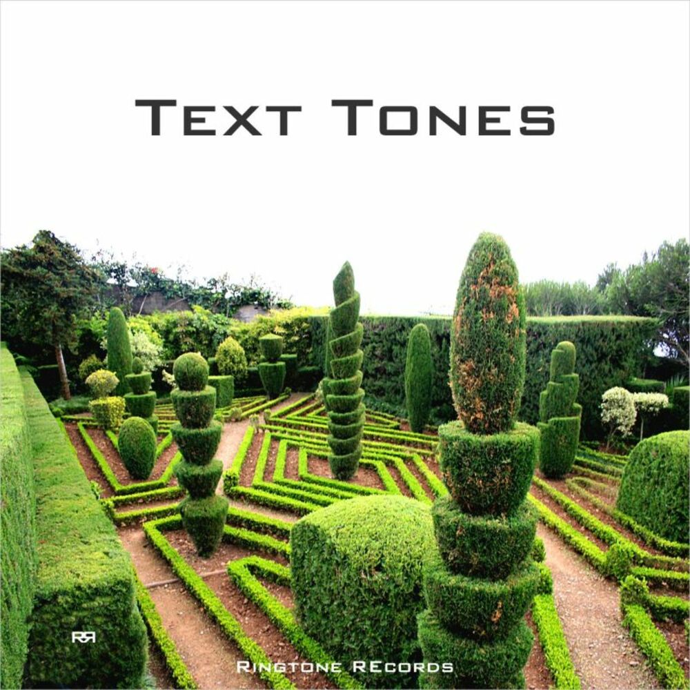 Text records. Tone of the text.