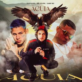 Album cover of Águia
