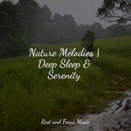 Album cover of Nature Melodies | Deep Sleep & Serenity
