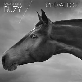 Album cover of Cheval fou