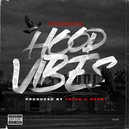Album cover of HoodVibes