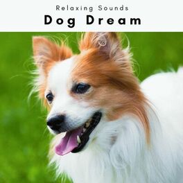 Album cover of Dog Dream