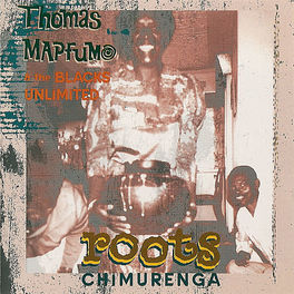 Album cover of Roots Chimurenga