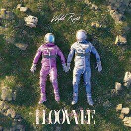 Album cover of LLOOVVEE