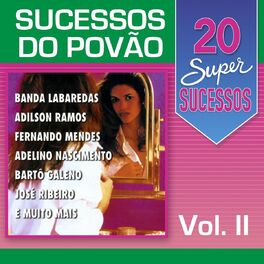 Album cover of 20 Super Sucessos Povão, Vol. 2
