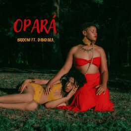 Album cover of Opará