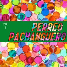 Album cover of Perreo Pachanguero Vol. 3
