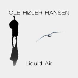 Album cover of Liquid Air