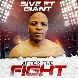 Album cover of AFTER THE FIGHT