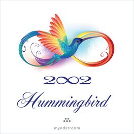 Album cover of Hummingbird