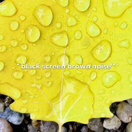 Album cover of * black screen brown noise *