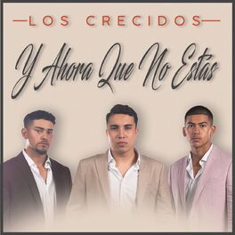 Album cover of Y Ahora Que No Estás