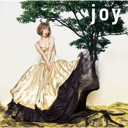 Album cover of joy
