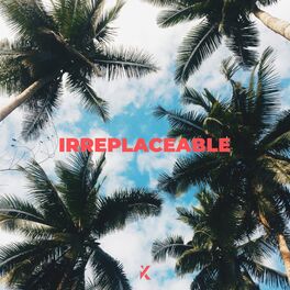 Album cover of Irreplaceable