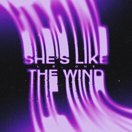 Album cover of She's Like the Wind
