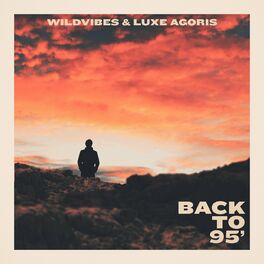 Album cover of Back To ‘95