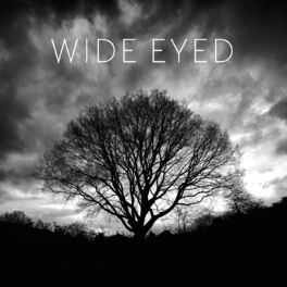 Album cover of Song for Three (Solo Piano Version)