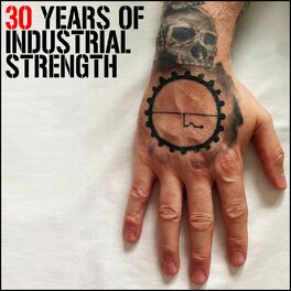Album cover of 30 Years of Industrial Strength