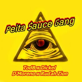 Album cover of Sauce Peita Gang