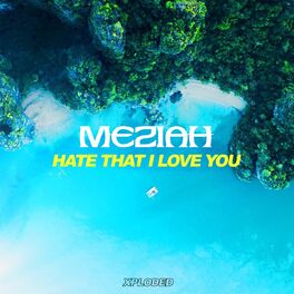 Album cover of Hate That I Love You