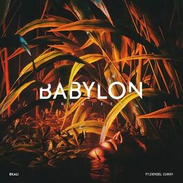 Album cover of Babylon (feat. Denzel Curry) (Remixes)