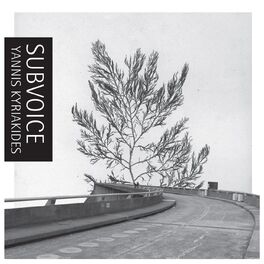 Album cover of Subvoice