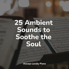 Album cover of 25 Ambient Sounds to Soothe the Soul