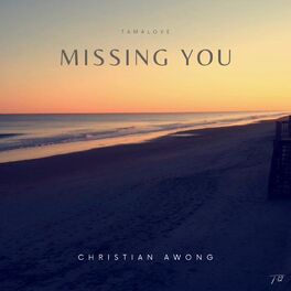 Album cover of Missing You