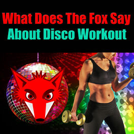 Album cover of What Does The Fox Say About Disco Workout