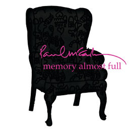 Album cover of Memory Almost Full (Deluxe Edition)