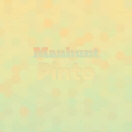 Album cover of Manhunt Pinto