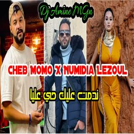 Album cover of Ndamte 3lik Hay 3liya (feat. Cheb Momo & Numidia)