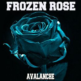 Album cover of Avalanche