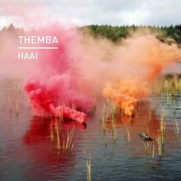 Album cover of Haai