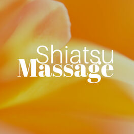 Album cover of Shiatsu Massage 30 - die Beste Hintergrundmusik zur Entspannung