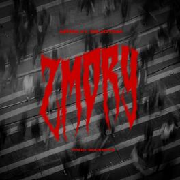 Album picture of Zmory