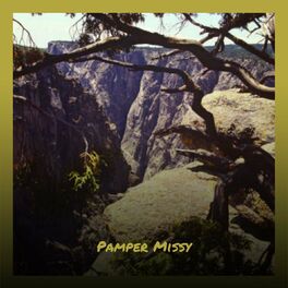 Album cover of Pamper Missy