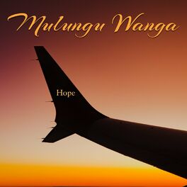 Album cover of Mulungu Wanga