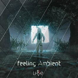 Album cover of Feeling Ambient