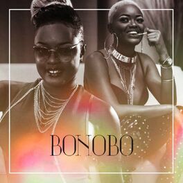 Album cover of Bonobo