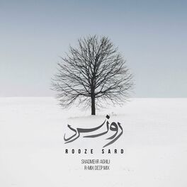 Album cover of Rooze Sard (feat. Shadmehr Aghili) [Deep Mix]