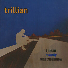 Album cover of I Mean Exactly What You Know
