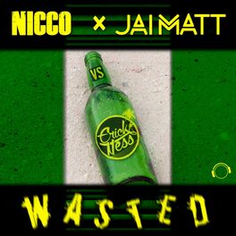 Album cover of Wasted