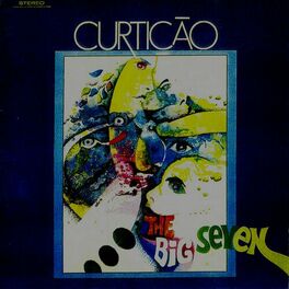 Album cover of Curtição