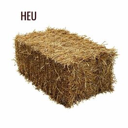 Album cover of HEU