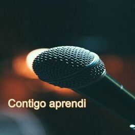 Album cover of Contigo aprendi