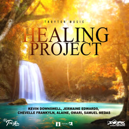 Album cover of Healing Project