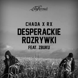 Album cover of Desperackie rozrywki (feat. Zbuku)