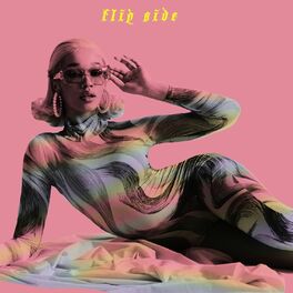 Album cover of Flipside